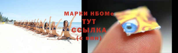 мяу мяу мука Баксан