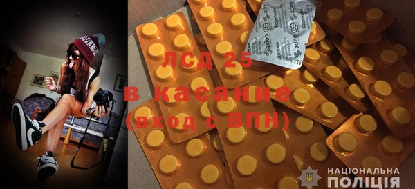 ПСИЛОЦИБИНОВЫЕ ГРИБЫ Балабаново