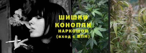 ПСИЛОЦИБИНОВЫЕ ГРИБЫ Балабаново