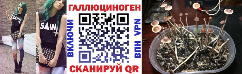 Псилоцибиновые грибы мухоморы наркотики Козельск